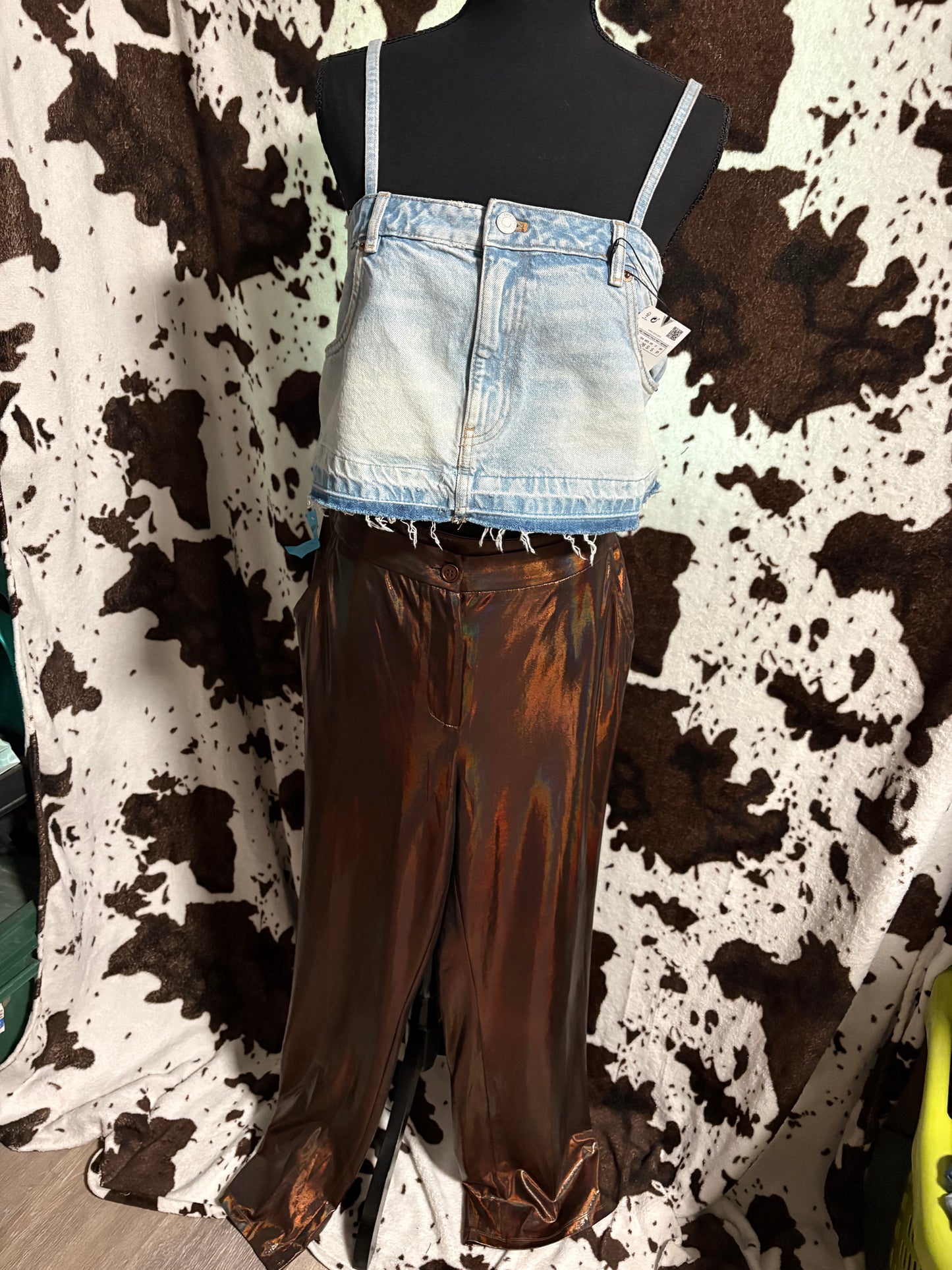 Size Large Shiny Pants