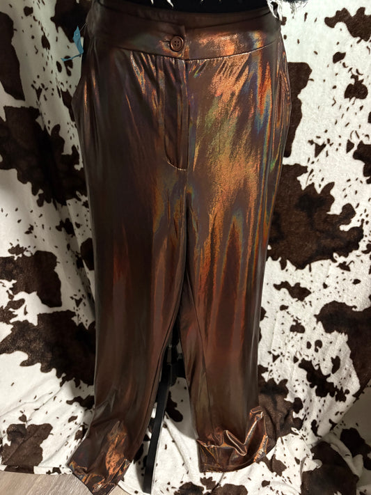 Size Large Shiny Pants